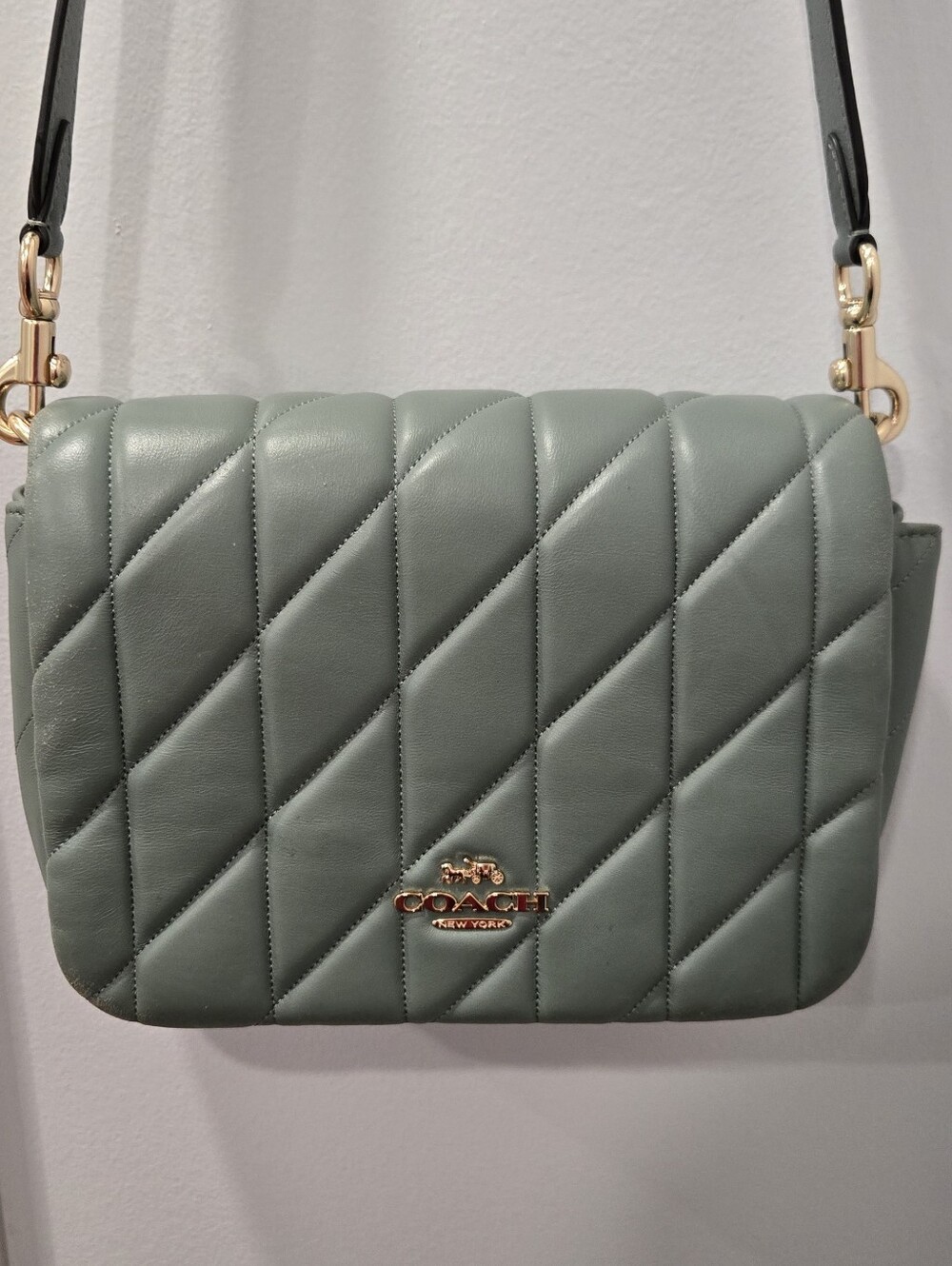 Coach Quinn Quilted Crossbody Bag in Sought-After Sage Green Nappa Leather